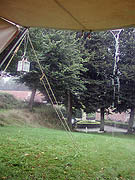 Link to larger image