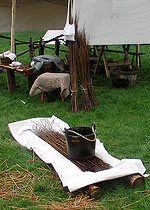 Link to larger image